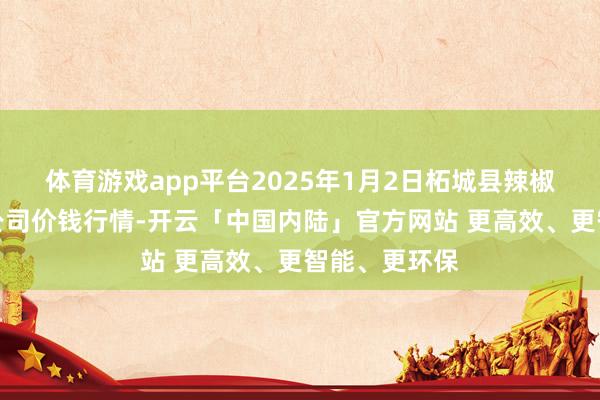 体育游戏app平台2025年1月2日柘城县辣椒大市集有限公司价钱行情-开云「中国内陆」官方网站 更高效、更智能、更环保